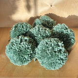 POMPONS À SUSPENDRE - VERT SAUGE