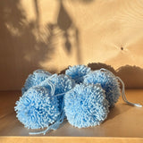 POMPONS À SUSPENDRE - BLEU