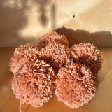 POMPONS À SUSPENDRE - TERRACOTTA