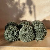 POMPONS À SUSPENDRE - KAKI