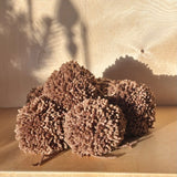 POMPONS À SUSPENDRE - MARRON