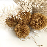 jacky-and-family-pompons-laine-camel-2